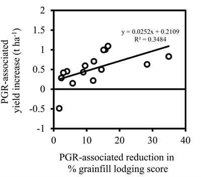 Cultivar × Management Interaction to Reduce Lodging and Improve Grain Yield of Irrigated Spring Wheat: Optimising Plant Growth Regulator Use, N Application Timing, Row Spacing and Sowing Date